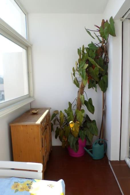 Appartement T3 Confort-20 Min A Pied *